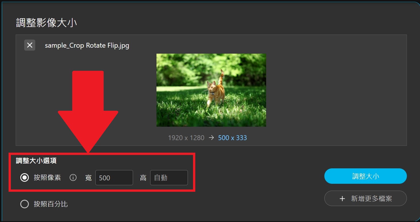 MyEdit 照片尺寸調整 介面